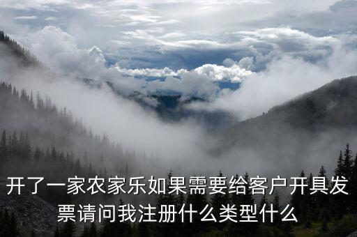 我要是以開普票為主 注冊什么性質(zhì)的公司好，開了一家農(nóng)家樂如果需要給客戶開具發(fā)票請問我注冊什么類型什么