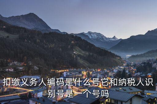 易稅門戶扣繳義務(wù)人編碼是什么，易稅門戶中扣繳義務(wù)人編碼指什么