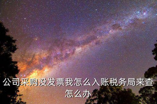 采購(gòu)時(shí)沒有發(fā)票為什么不能入賬，公司采購(gòu)沒發(fā)票我怎么入賬稅務(wù)局來查怎么辦