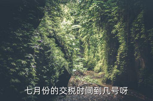 福建地稅7月報(bào)稅到什么時(shí)候，請(qǐng)問7月份國稅地稅的征期截止到哪天