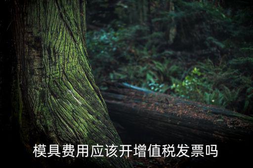 模具設計開發(fā)費開什么發(fā)票，模具開發(fā)及制造費一般開什么發(fā)票明細