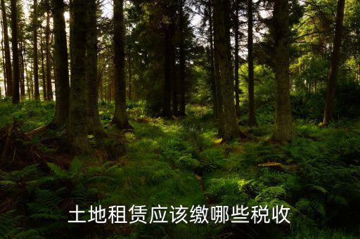 租賃政府土地交什么稅，土地使用權(quán)租賃要交哪些稅