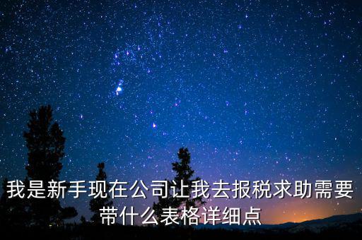 我是新手現(xiàn)在公司讓我去報稅求助需要帶什么表格詳細(xì)點