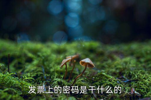 湖南汽車發(fā)票密碼是什么意思，發(fā)票上的密碼是做什么用的啊