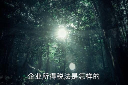 什么是企業(yè)所得稅法，企業(yè)所得稅法是怎樣的