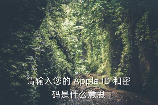 查詢個(gè)稅 密碼是輸入什么，請輸入您的 Apple ID 和密碼是什么意思