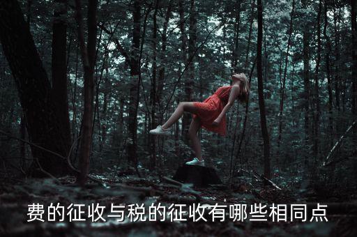 稅與費(fèi)有什么區(qū)別 稅收具有，費(fèi)的征收與稅的征收有哪些相同點(diǎn)