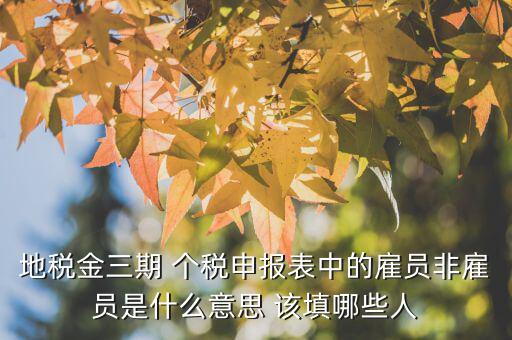 雇員納稅人是什么意思，地稅金三期 個(gè)稅申報(bào)表中的雇員非雇員是什么意思 該填哪些人
