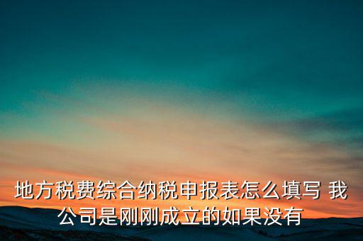 地稅不開票需填什么表，地方稅費綜合納稅申報表怎么填寫 我公司是剛剛成立的如果沒有