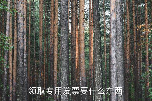 領購專票需要帶什么，領購增值稅專用發(fā)票需要帶哪些東西詳細點謝謝