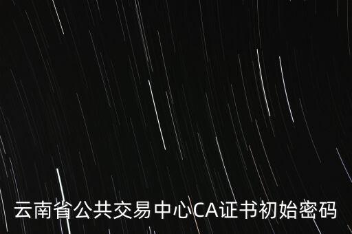 ca證書的原始密碼是什么意思，云南省公共交易中心CA證書初始密碼