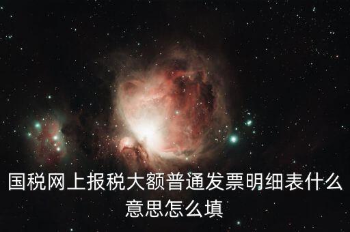發(fā)票里的明細(xì)是什么意思，國稅網(wǎng)上報稅大額普通發(fā)票明細(xì)表什么意思怎么填
