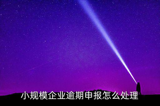 小規(guī)模納稅人如果沒(méi)有按時(shí)申報(bào)有什么后果，小規(guī)模不報(bào)稅什么后果