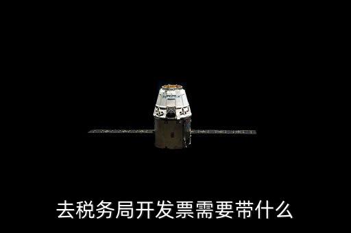 去國(guó)稅開(kāi)票帶什么手續(xù)，去稅務(wù)局開(kāi)發(fā)票需要帶什么