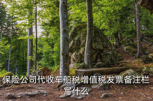 保險公司代開車船稅備注注什么，請問一下發(fā)票備注欄能夠寫什么