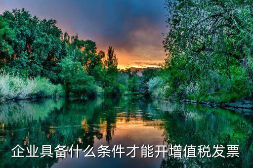 什么企業(yè)增值稅發(fā)票，企業(yè)具備什么條件才能開增值稅發(fā)票