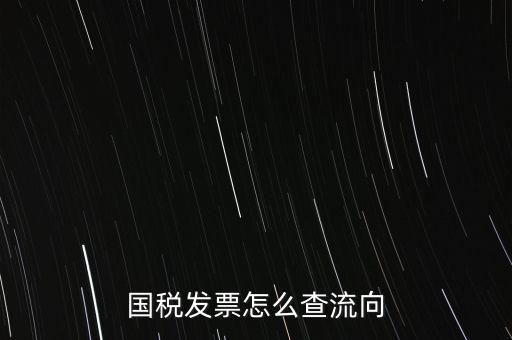 國稅發(fā)票怎么查流向