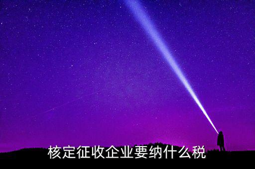 什么稅可以核定征收，核定征收企業(yè)要納什么稅