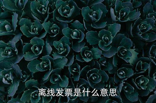 離線開(kāi)票什么意思，離線發(fā)票是什么意思