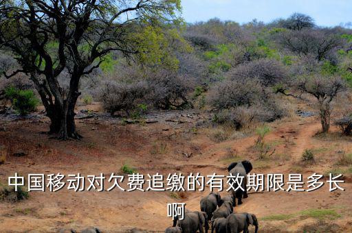 中國移動(dòng)對(duì)欠費(fèi)追繳的有效期限是多長啊