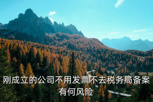 稅收備案制有什么風險，稅收政策變化導(dǎo)致中小企業(yè)的風險有哪些