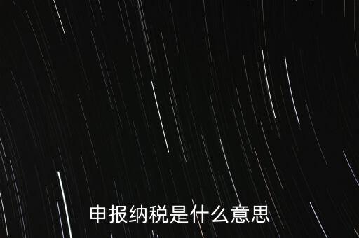 通用申報稅是什么，非稅收入通用申報表是什么稅