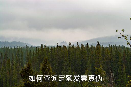 定額發(fā)票查詢的密碼是什么，如何查詢定額發(fā)票真?zhèn)?/></a></span><span id=