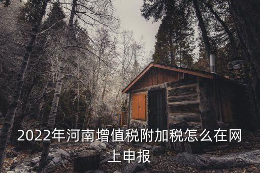 附加稅在什么網(wǎng)站申報，2022年河南增值稅附加稅怎么在網(wǎng)上申報