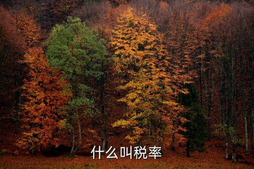 什么叫增值稅稅率，增值稅普通發(fā)票的稅率是什么意思