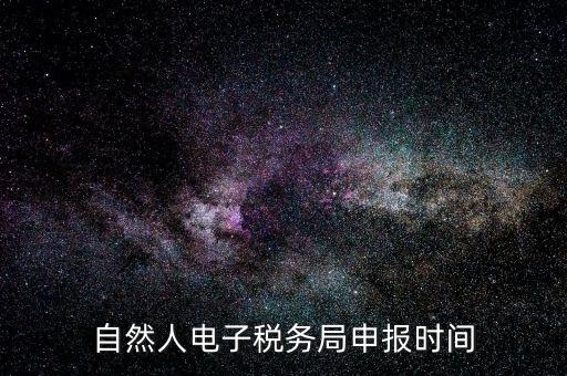 自然人納稅平臺是什么時候，自然人電子稅務局登錄時間