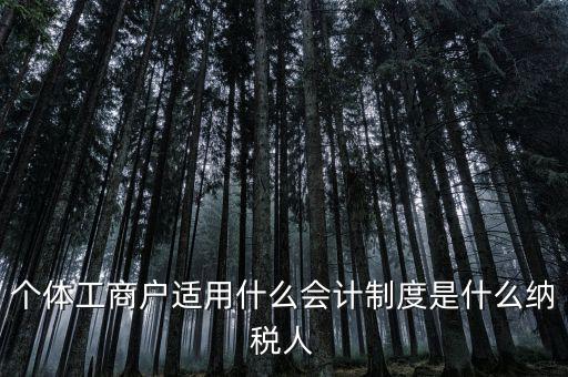 個體戶屬于什么納稅人，從事縫紉業(yè)務(wù)的個體戶屬于哪一類納稅人