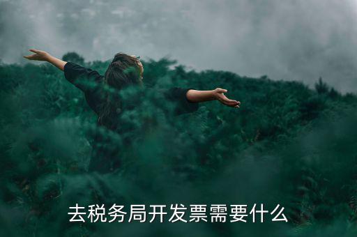 常州國稅認證發(fā)票需要帶什么手續(xù)，去國稅認證發(fā)票需要帶什么資料