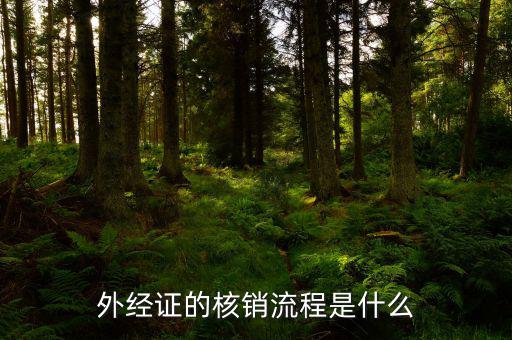 核銷的外經(jīng)證是什么樣，外經(jīng)證核銷是什么意思