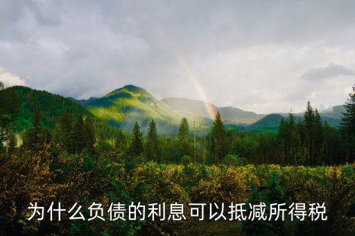 企業(yè)負(fù)債時稅率有什么優(yōu)惠，企業(yè)所得稅優(yōu)惠政策有哪些