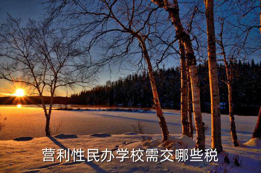 學(xué)校要交什么稅，營利性民辦學(xué)校需交哪些稅