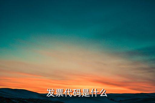 開發(fā)票六位代碼是什么，增值稅專用發(fā)票6位開票代碼是什么意思