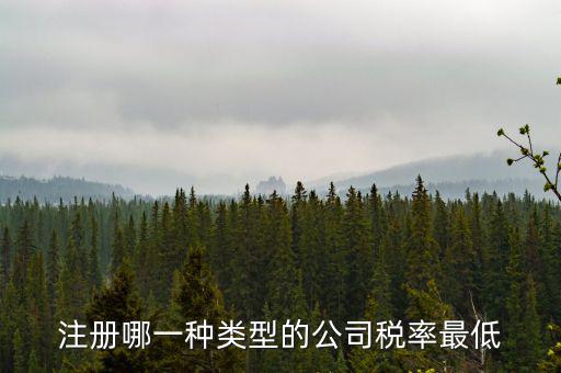 蘇州開什么樣的公司稅率最低，注冊什么類型的公司交稅最少