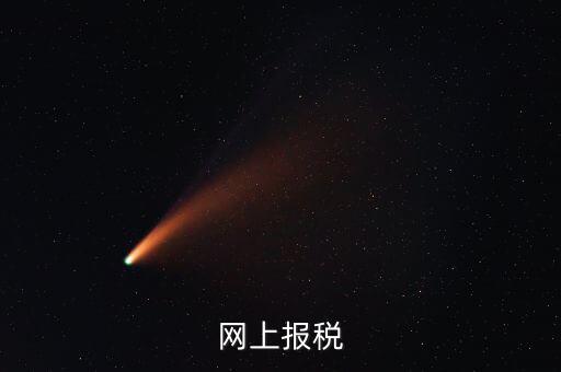 網上報稅