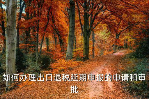 出口退稅申報(bào)延期需要什么資料，如何辦理出口退稅延期申報(bào)的申請(qǐng)和審批