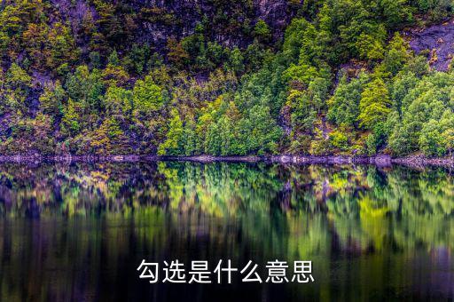 發(fā)票勾選是什么意思，勾選是什么意思