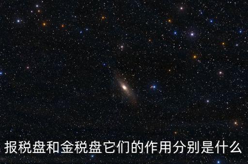 報稅盤做什么用的，報稅盤和金稅盤它們的作用分別是什么
