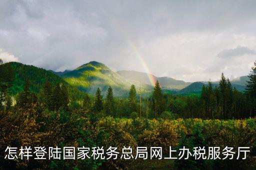 稅務局登錄什么瀏覽器可以，怎樣登陸國家稅務總局網(wǎng)上辦稅服務廳