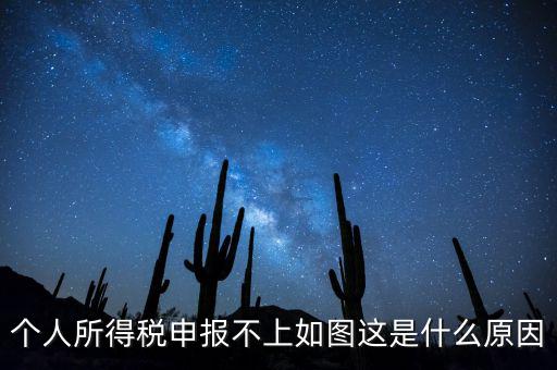個稅申報不成功什么原因，個人所得稅申報不上如圖這是什么原因