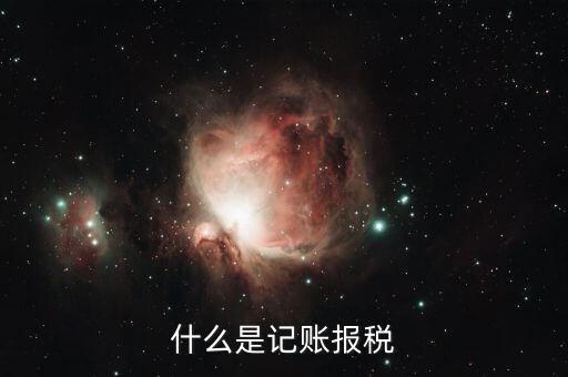 報(bào)稅記錄是指什么，報(bào)稅是什么意思 報(bào)稅的含義