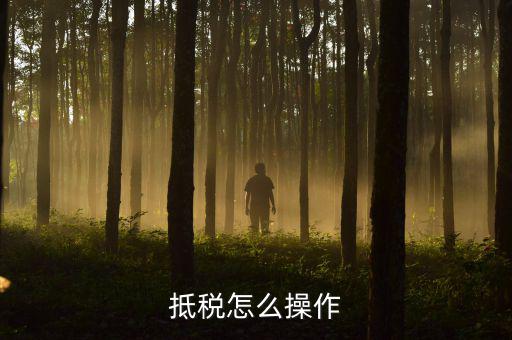辦理抵稅流程是什么，電子稅務局退抵稅流程