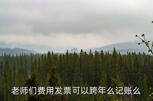 什么發(fā)票可以跨年入賬，增值稅專用發(fā)票可以跨年做賬嗎