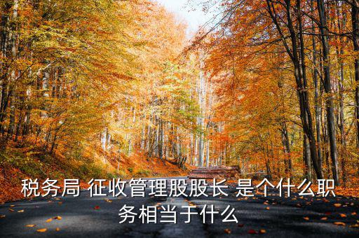 稅務(wù)局 征收管理股股長 是個(gè)什么職務(wù)相當(dāng)于什么