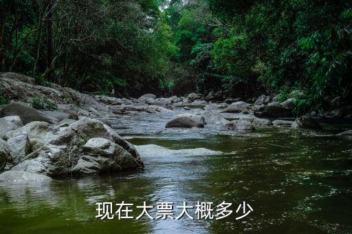 車輛大票是額多少什么，現(xiàn)在大票大概多少