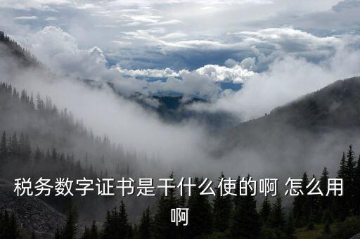 安徽國稅局數(shù)字證書是什么意思，稅務(wù)數(shù)字證書是干什么使的啊 怎么用啊