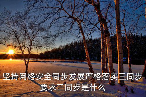 堅持網(wǎng)絡(luò)安全同步發(fā)展嚴(yán)格落實三同步要求三同步是什么